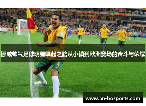 挪威帅气足球明星崛起之路从小镇到欧洲赛场的奋斗与荣耀